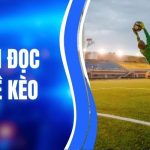 Cách Đọc Tỷ Lệ Kèo Chuẩn Xác Cho Hội Viên Mới Tại LLwin 1 Cách Đọc Tỷ Lệ Kèo Chuẩn Xác Cho Hội Viên Mới Tại LLwin